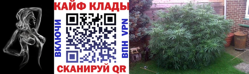 Наркошоп купить КОКАИН МДМА Галлюциногенные грибы МАРИХУАНА ГАШ А ПВП МЕФ Монино