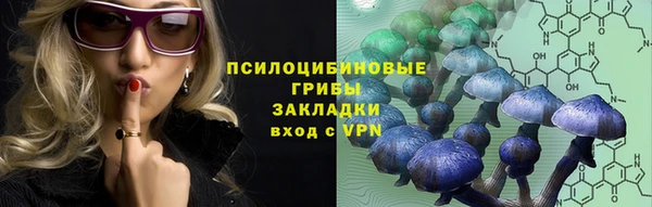 spice Алексин