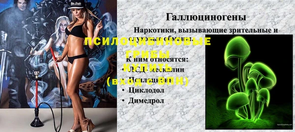 мяу мяу мука Алзамай