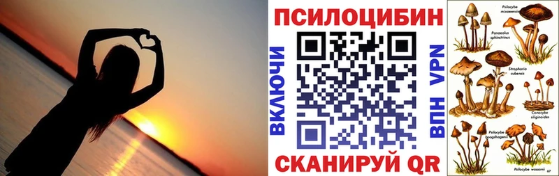 Купить  Монино  Галлюциногенные грибы GOLDEN TEACHER 